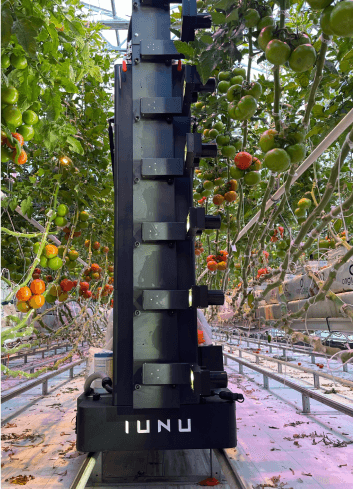 LUNA AI dashboard showing computer vision analytics for greenhouse monitoring